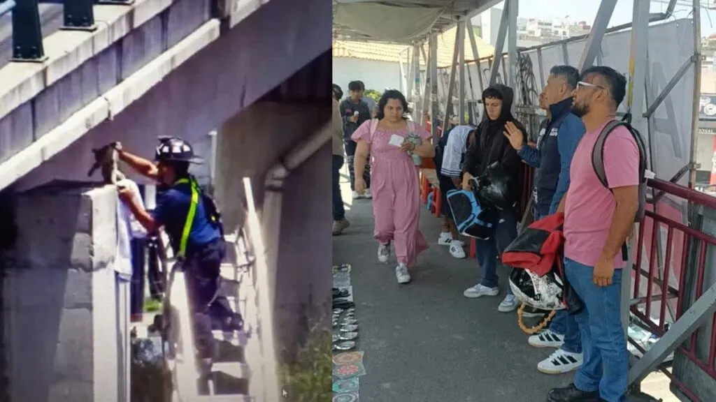 Bomberos de Coacalco rescatan a gatita atrapada en puente vehicular