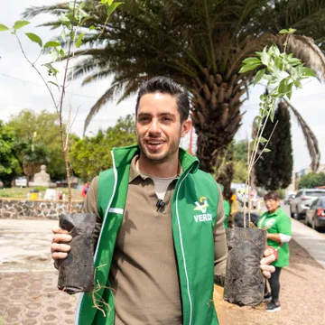 Anuncia PVEM reforestación de 250 mil árboles como parte de la gira “Un Voto, un Árbol”