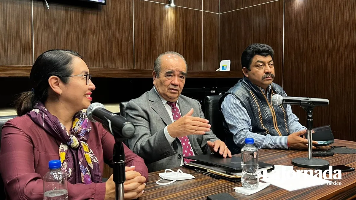 (VIDEO) Tomarán acciones si vuelve a aplazarse la elección de dirigencia de Morena: Maurilio Hernández