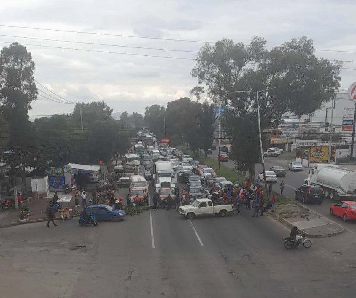 Texcoco: Vecinos se confrontan por la tala de un árbol