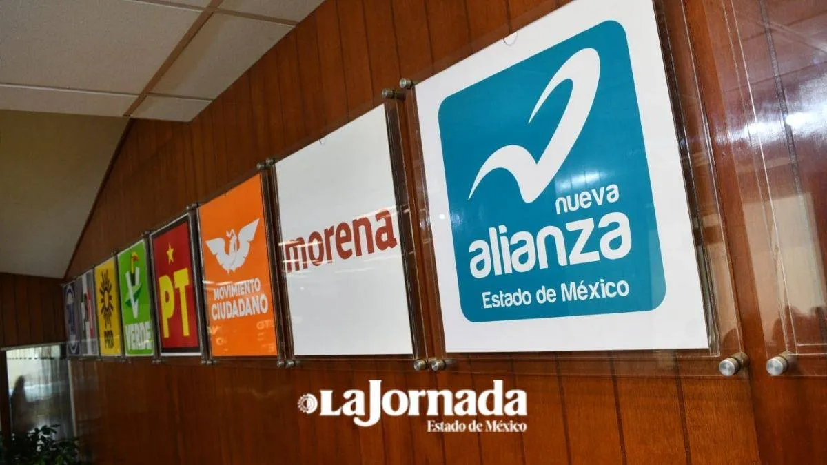 En “Candidatas, Candidatos. Conócelos” faltaron 10% de registros