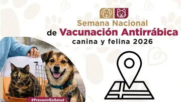 Edomex anuncia Semana Nacional de Vacunación antirrábica gratis: sedes, fechas y horario