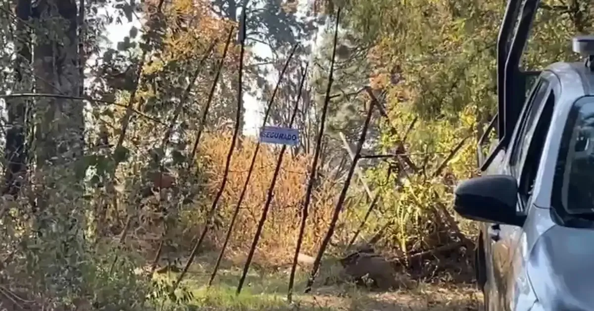 Kimberly, de 18 años, fue vista por última vez el viernes 20 de febrero, cuando acudió a su facultad.