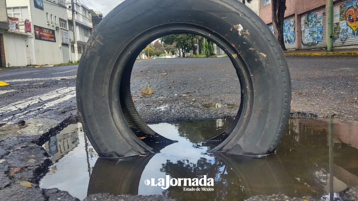 Toluca: Ciudadanos improvisan para tapar baches: árboles, llantas y tablas en las calles