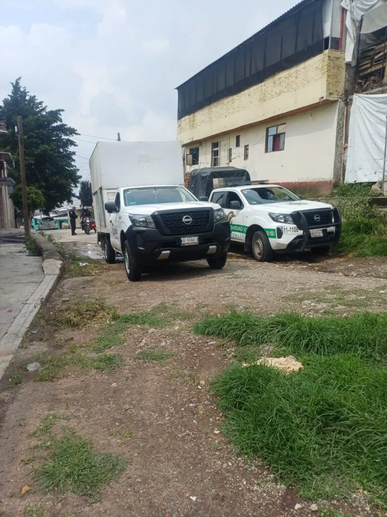 Inicia Gobierno de Cuautitlán Izcalli procedimiento por denuncias en redes de maltrato animal