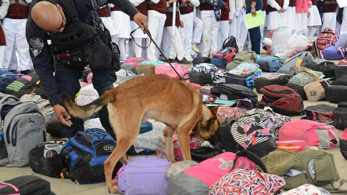 Mochila Segura en Atizapán: hallan armas y droga en 3% de revisiones