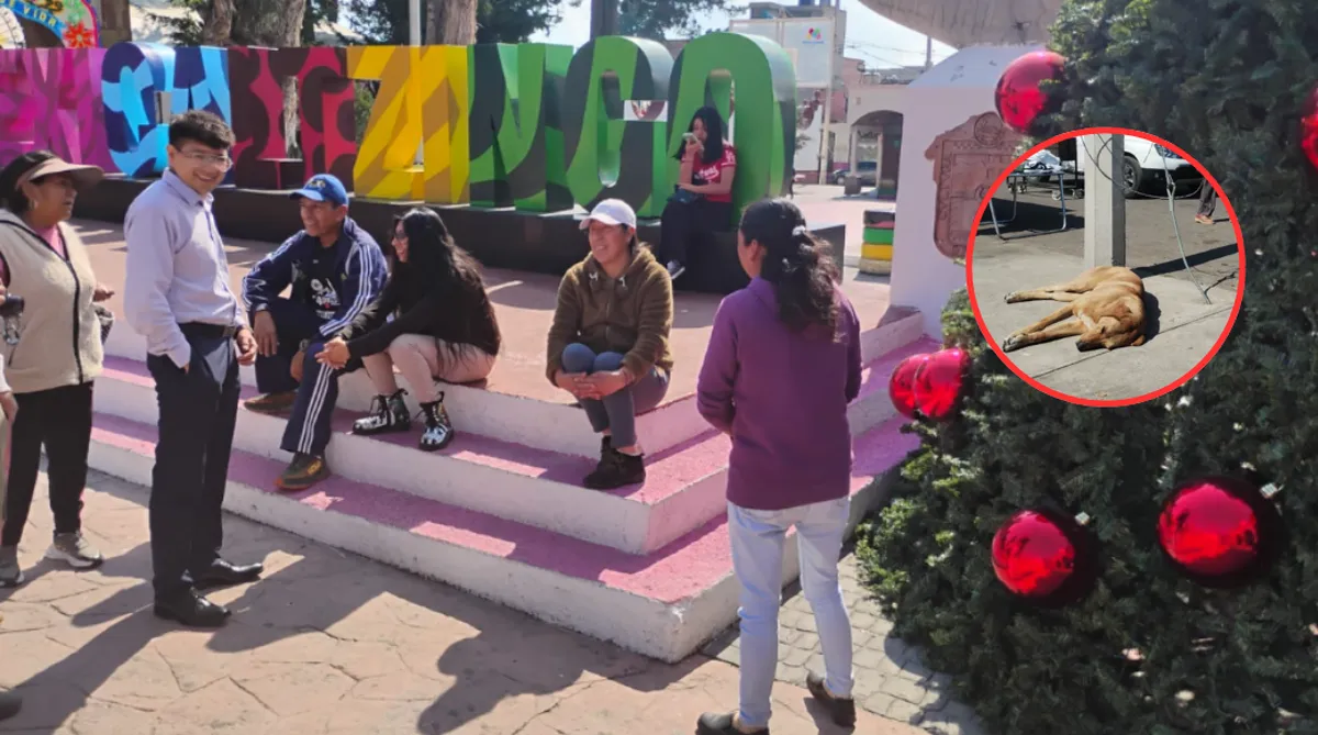 Caso Mexicaltzingo: familia de Mateo Fuentes denuncia irregularidades en cateo por maltrato animal