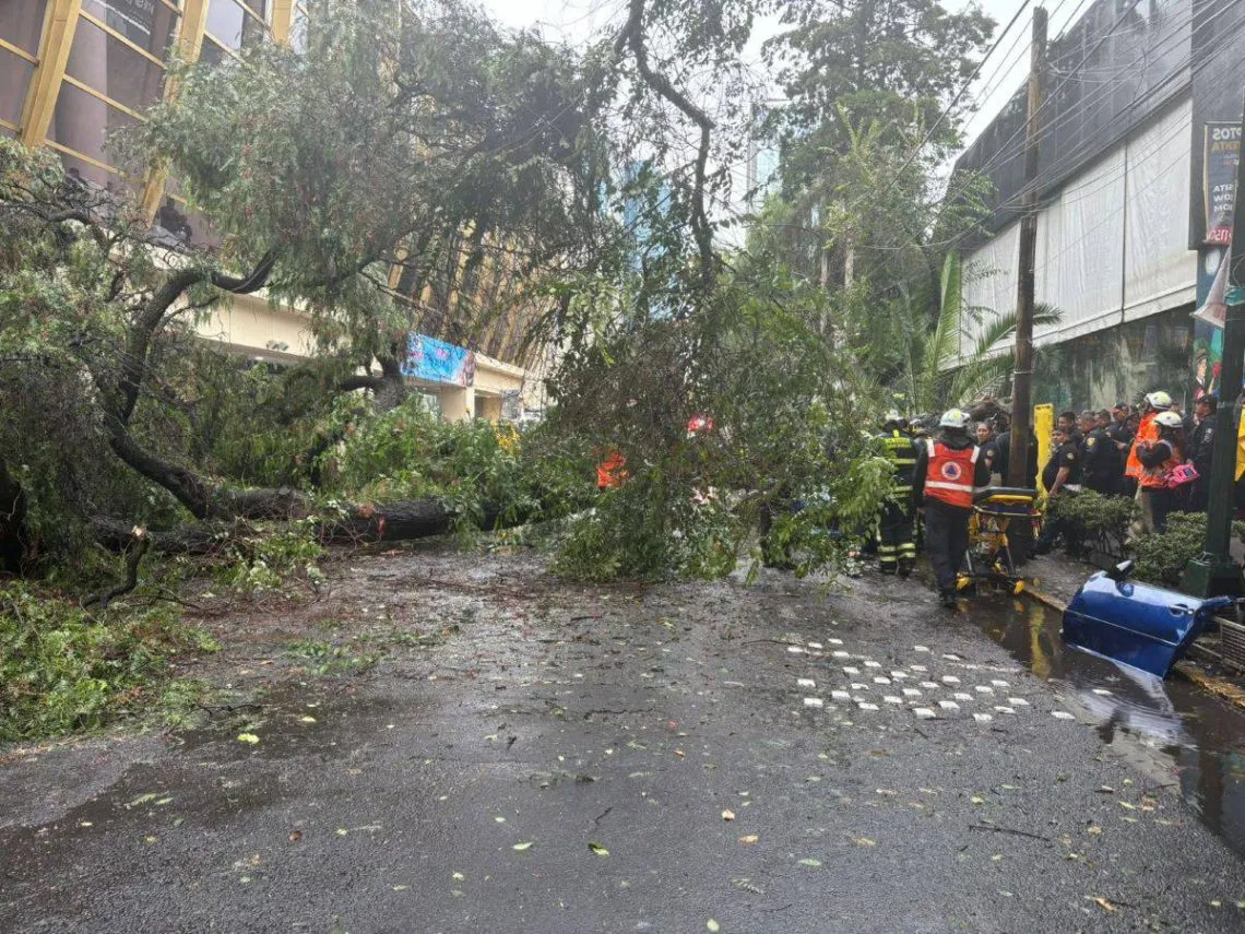 [VIDEO] Rescatan a bebé que quedó atrapado tras caída de árbol por lluvia en CDMX; mamá muere