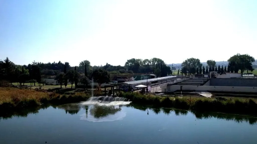 Crean humedales con agua tratada en Tecámac