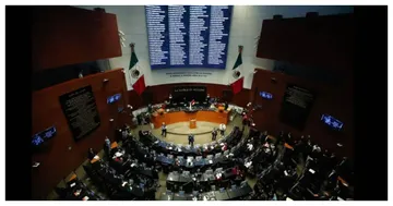 La presidencia del Senado recibió las renuncias de Norma Piña y ministros de la Suprema Corte de Justicia de la Nación.
