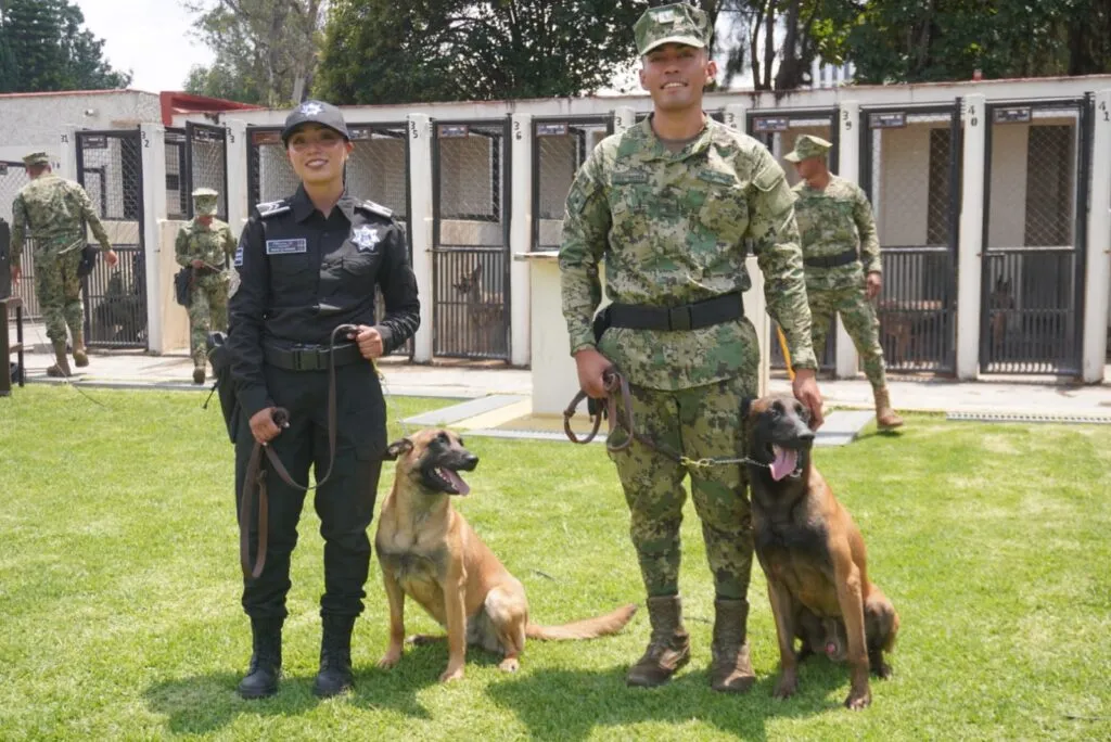 Policía de Atizapán fortalece su Unidad Cinotáctica K9 con entrenamiento de la SEMAR