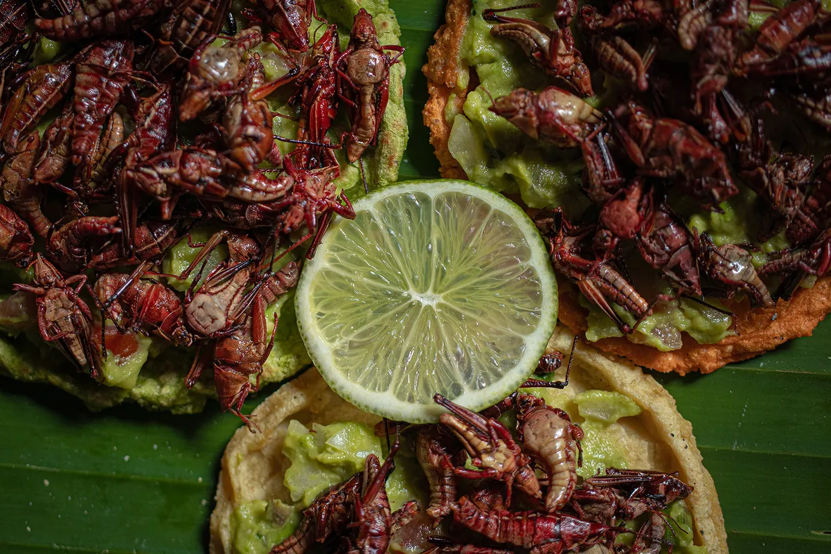 Comida de zona oriente del Edomex tendrá mayor proyección