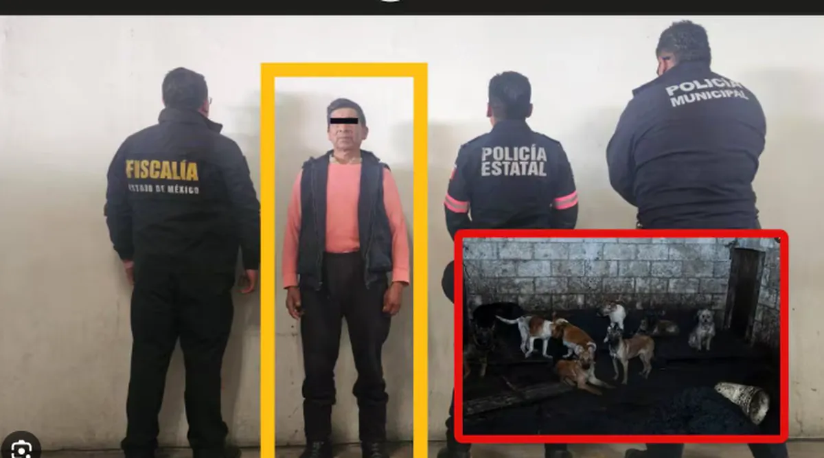Dan vinculación a proceso a hombre por maltrato a perritos de Mexicaltzingo