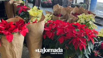 Canasta básica con variaciones mínimas en Toluca