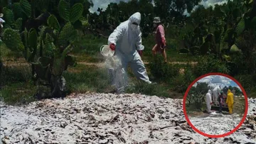 Fumigan comunidades de Temascalapa ante proliferación masiva de moscos