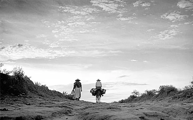 El Llano en llamas: 70 años de una obra solitaria