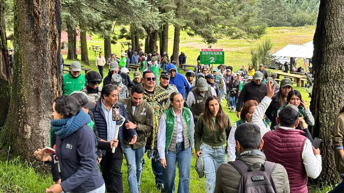 Senadores y diputados del PVEM se suman al llamado de reforestación de gobernadora