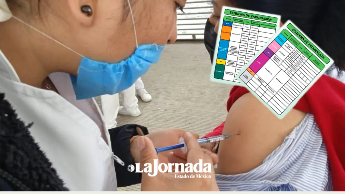 Vacunas que no están marcadas en la Cartilla de Vacunación y son necesarias