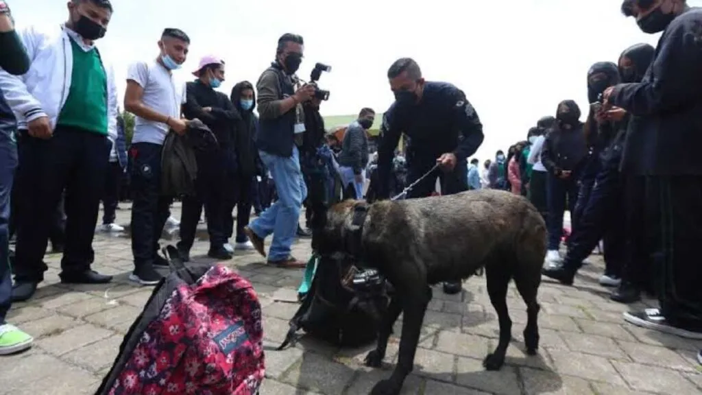 Mochila Segura en Atizapán: hallan armas y droga en 3% de revisiones
