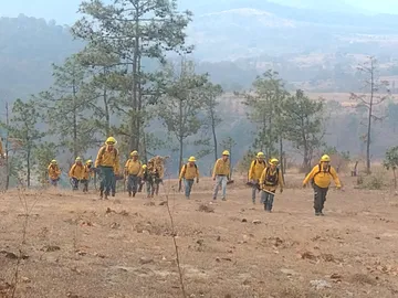 Temascaltepec: Continúan labores de combate de incendio forestal