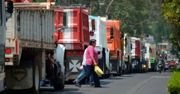 “Transportistas siguen en el caos y a merced de las mafias de las grúas”: Francisco Rojas