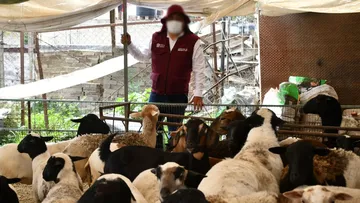 Secretaría del Bienestar coordina entrega de bienes incautados en el sur tras ‘Operación Liberación’