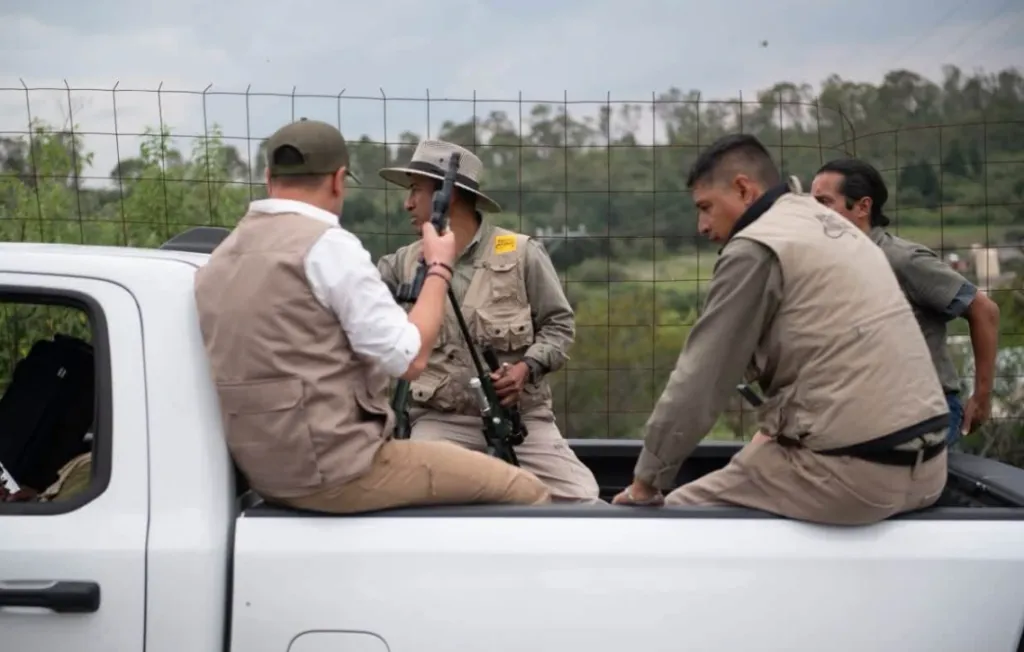 Tigre “Benzo” se aleja de zonas pobladas en Tepetlaoxtoc; descartan peligro inmediato