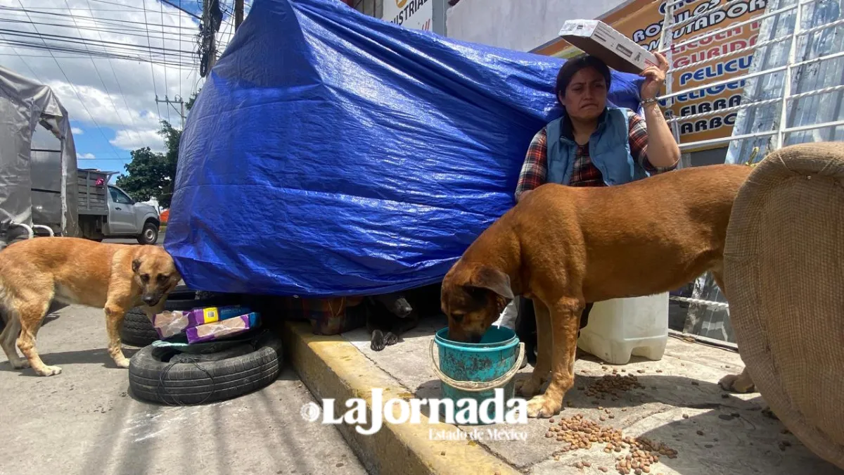 Mujer invidente vive en la calle tras desalojo en zona federal de Neza