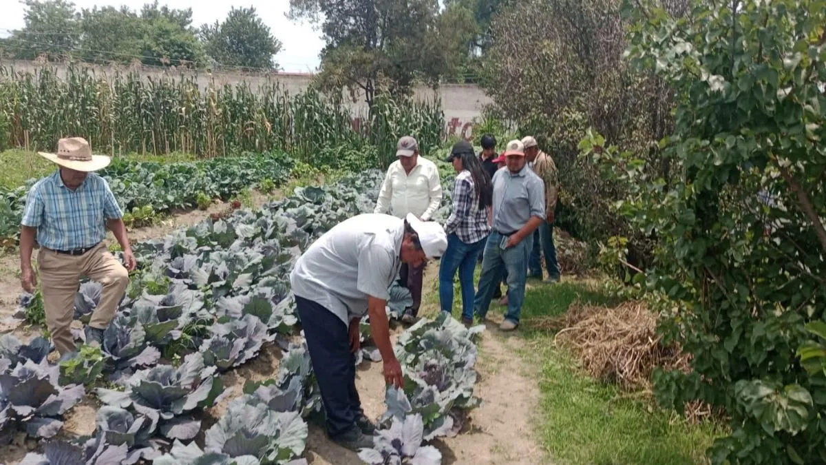 Inundaciones generan solicitudes de apoyo agroclimático en 2025 Edomex