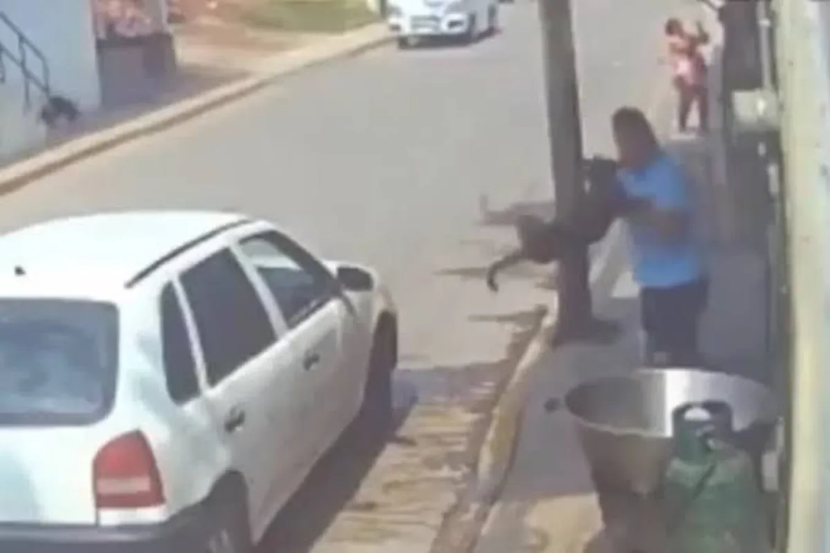 Apelará protectora por libertad condicionada a asesino de Scooby