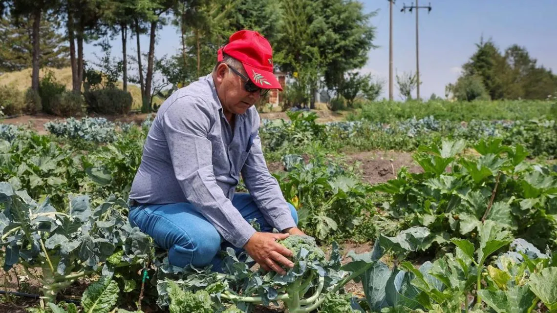 Toluca: Investigador desarrolla agroecología, logra producción saludable y recuperación de fauna