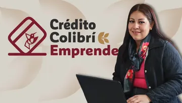 Cómo solicitar el Crédito Colibrí para financiar negocios en el Edomex: Reglas de operación