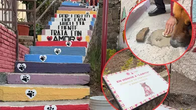 En la calle colocaron mensajes de concientización y apoyo a la protección animal.