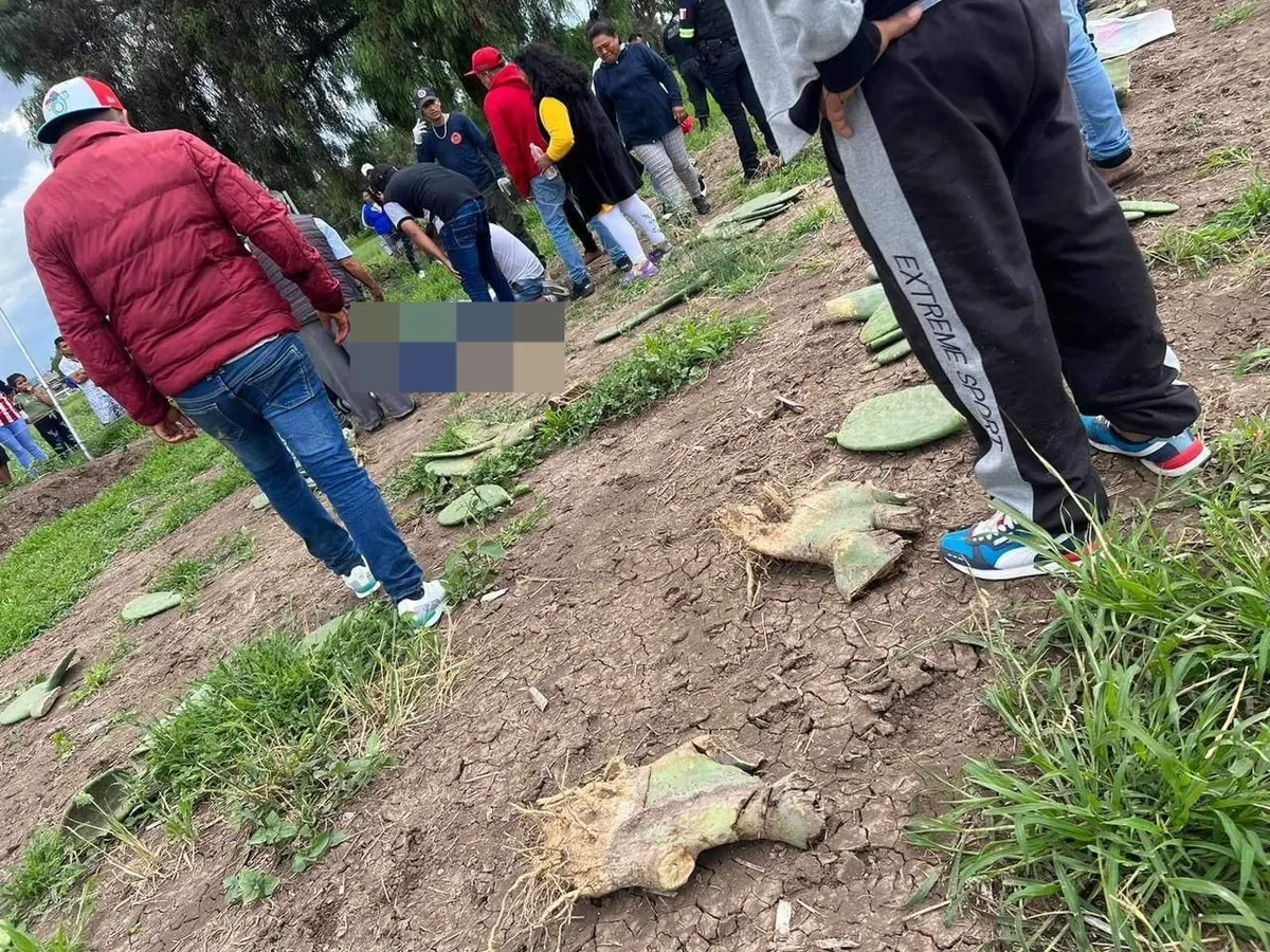 Campesino murió baleado mientras trabajaba en Chiautla