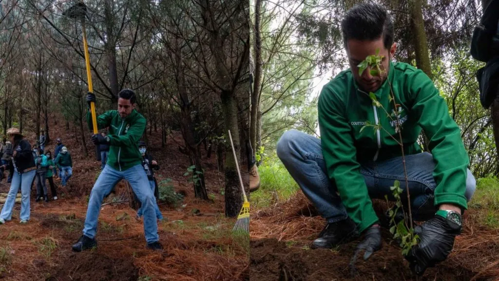 PVEM buscará superar su meta anual de 250 mil árboles con la gira “Un Voto, Un árbol”