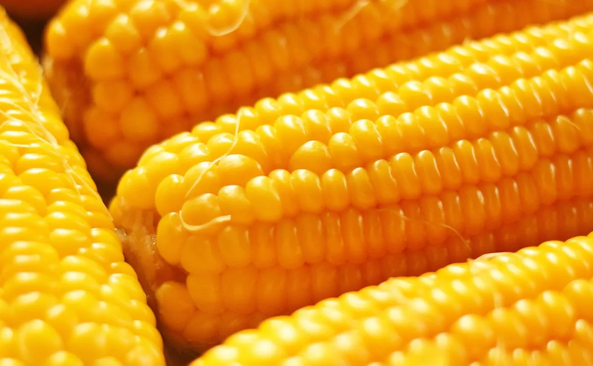 México el principal mercado de Estados Unidos de maíz amarillo