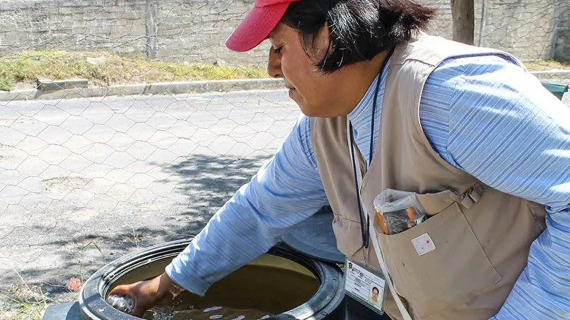 Se adelanta temporada dengue, zika y la chikungunya, hay aumento del 40%