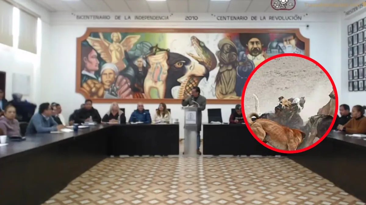Teoloyucan frena el avance de jaurías peligrosas