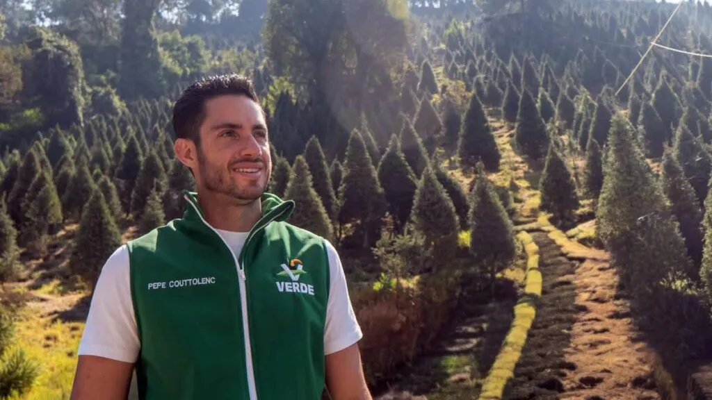 PVEM impulsa comercio local de árboles de Navidad