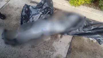 Hallan cadáver de una mujer envuelto en plástico en Tlalnepantla