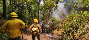 Abren centro de acopio para apoyar a brigadistas en Valle de Bravo