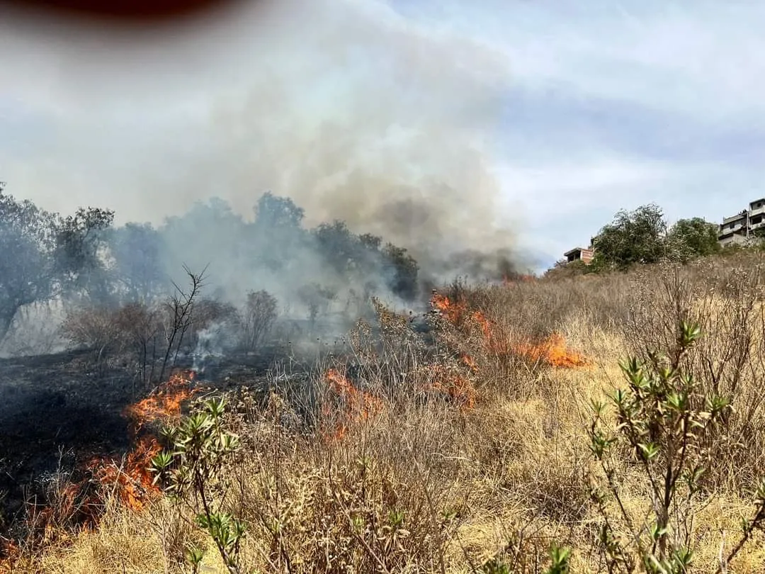 Bomberos controlan incendio de pasto en cerro de San Martín en Atizapán