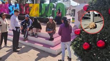 Caso Mexicaltzingo: familia de Mateo Fuentes denuncia irregularidades en cateo por maltrato animal