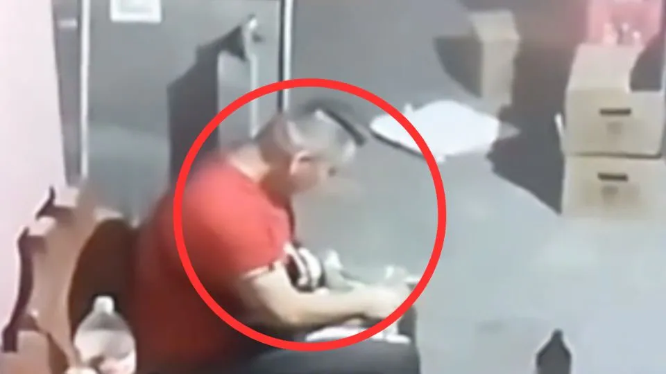 Maltrato animal en Edomex: estrangulan a gatito y envenenan a perros
