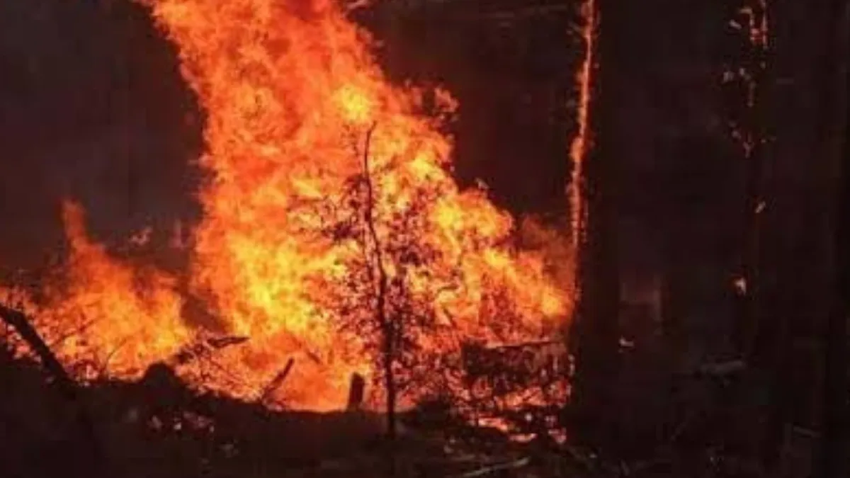 Más de 350 hectáreas han sido arrasadas por el incendio de Jilotzingo