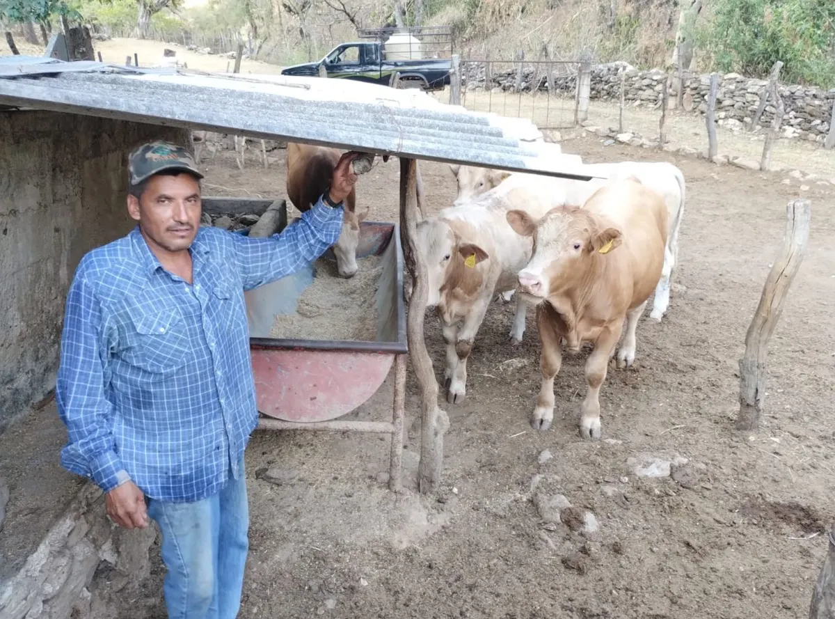 Ante la ola de calor protege a los animales con estas recomendaciones