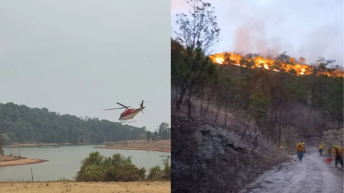 Luvianos: Combaten Probosque y “Relámpagos” incendio forestal en la Sierra de Nanchititla