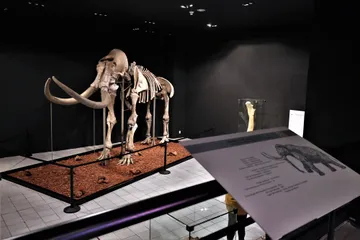 Mamut de Ecatepec