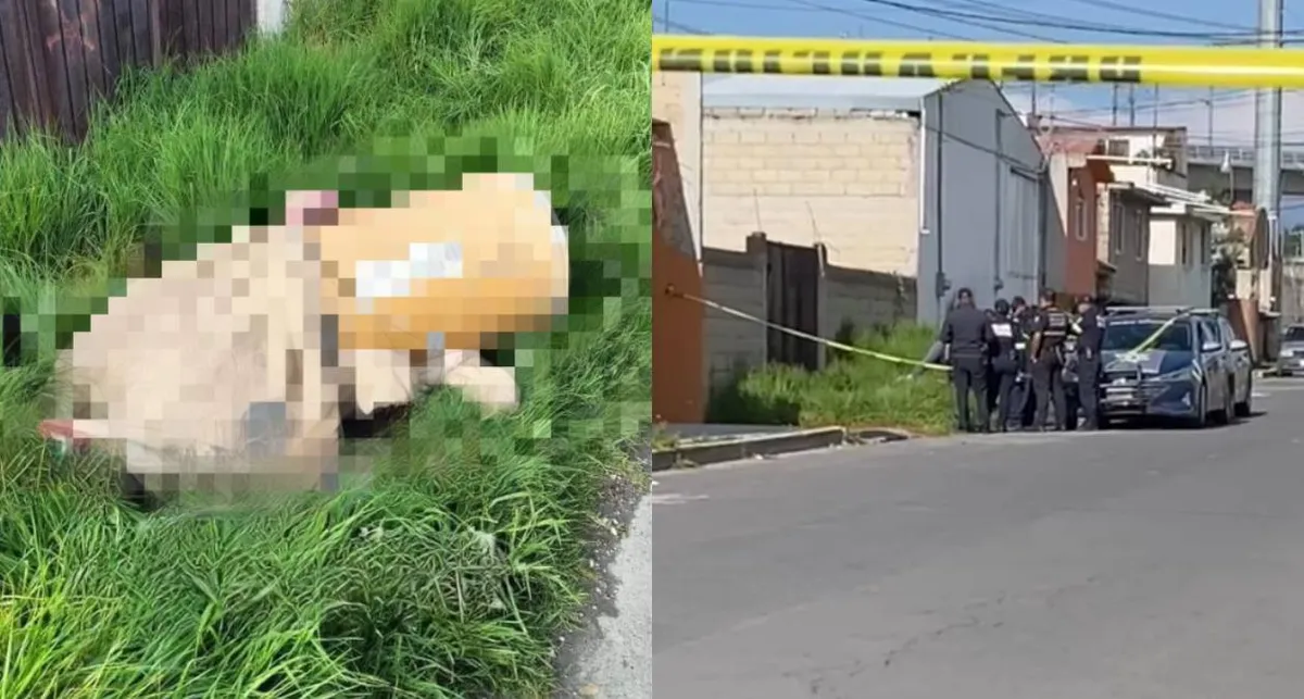 Toluca: Hallan cadáver en un tambo, en la colonia Parques Nacionales