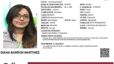 Ficha de búsqueda de Diana Barrón